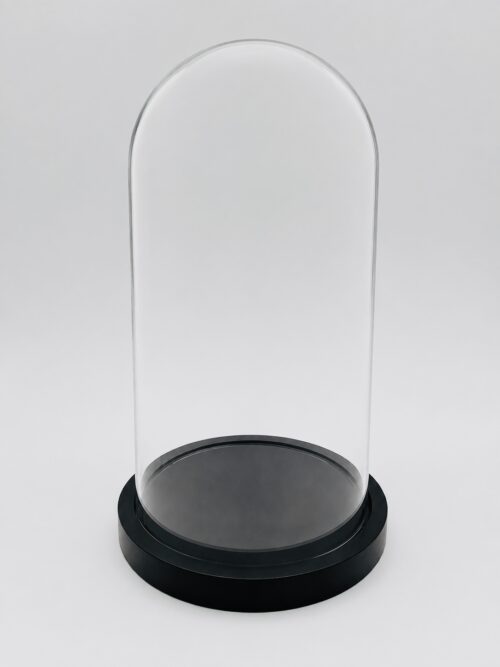 Cloche en verre 20x14 cm avec socle noir pour création DIY