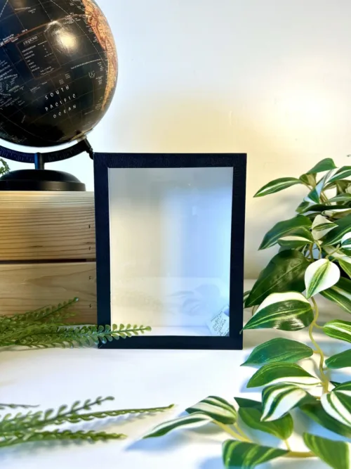 Boîte entomologique noire fond blanc 18 x13 cm - vue de face