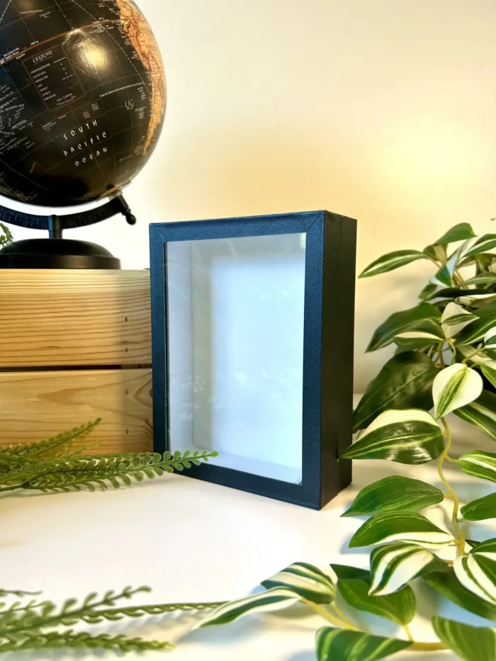 Cadre entomologique noir et blanc 18 x 13 cm pour insectes