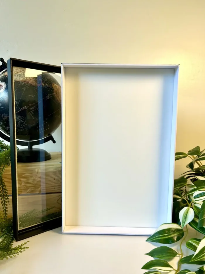 Cadre entomologique noir avec intérieur blanc - idéal pour collections